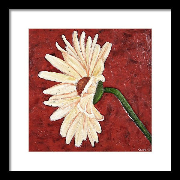 Gerbera Daisy On Coral I